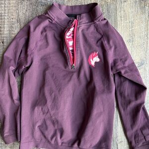 Shred dog Quarter-Zip Pullover